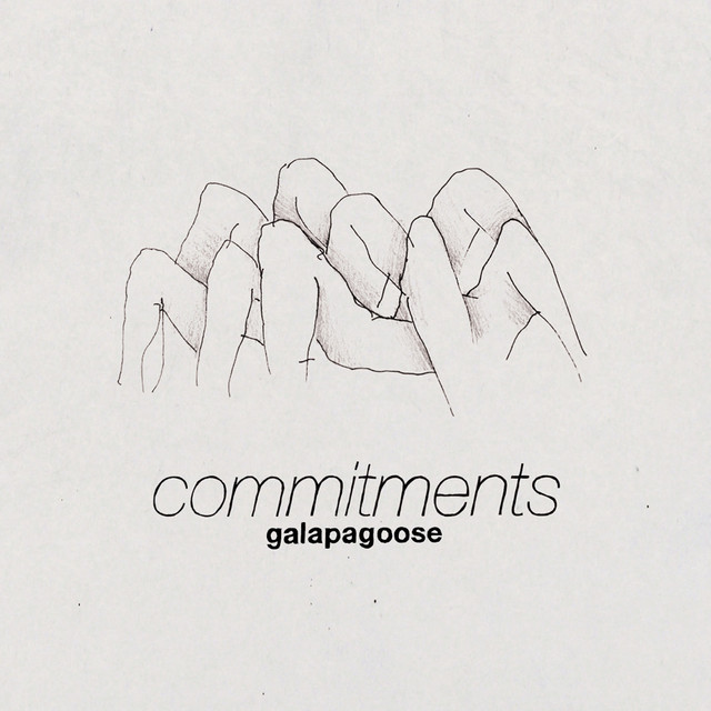 Galapagoose Photo