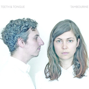 Tambourine cover