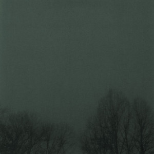 Circuit VIII cover