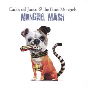 Carlos del Junco & the Blues Mongrels