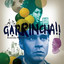 Garrincha - Estrela Solitaria cover