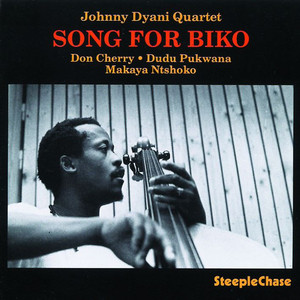 Song for Biko cover
