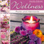 Wellness - Ruhe und Harmonie Albumcover
