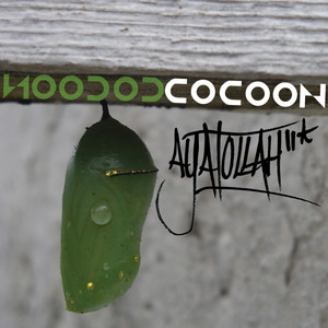 Cocoon album