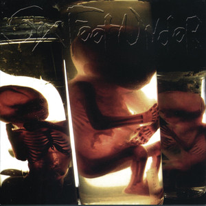 True Carnage album