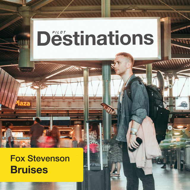 Bruises (destinations) cover