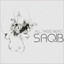 Saqib