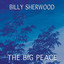 The Big Peace cover
