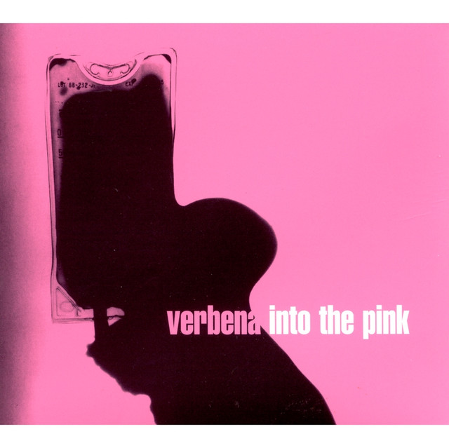 Into The Pink cover
