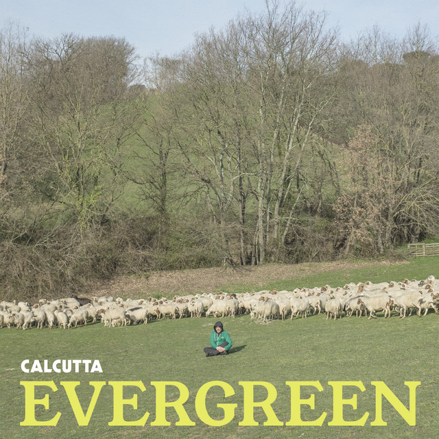 Evergreen cover
