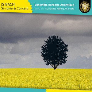 Bach: Sinfonie & Concerti album