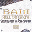 Hell On Earth (Screwed & Chopped) cover
