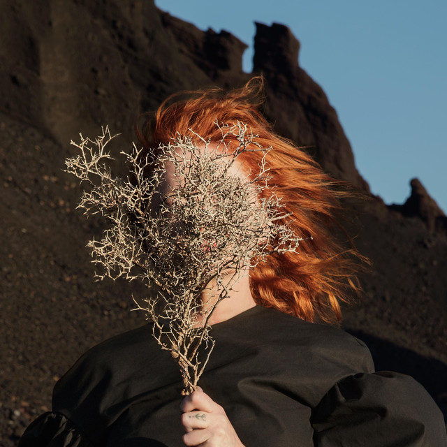 Musik Artist Goldfrapp