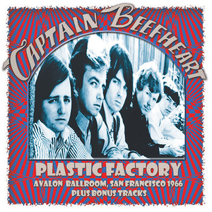 Plastic Factory (Live) cover