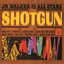Shotgun cover