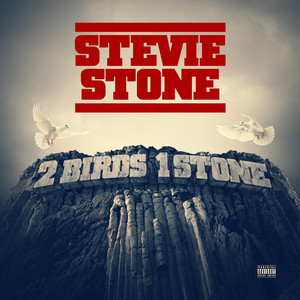 2 Birds 1 Stone cover