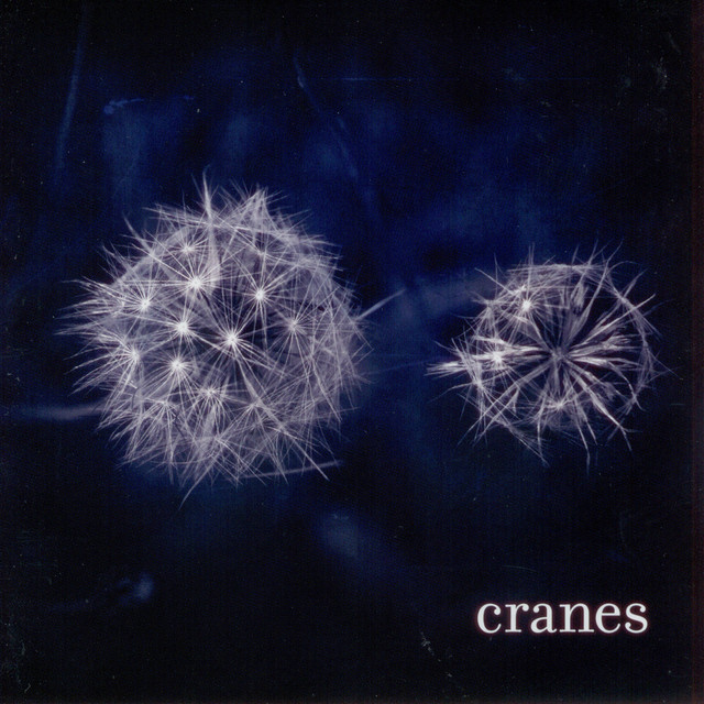 Cranes cover