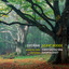 Dvoirak: Silent Woods Albumcover