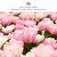 아기와 엄마의 행복 담은 클래식 Albumcover