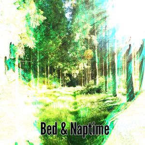Bed & Naptime album
