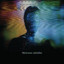 Welcome Oblivion cover
