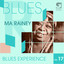 Blues Experience, Vol. 17 Albumcover