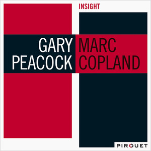 Insight cover