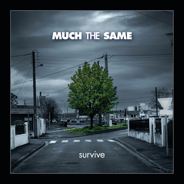 Survive cover