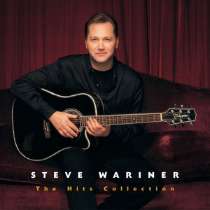 The Hits Collection: Steve Wariner cover