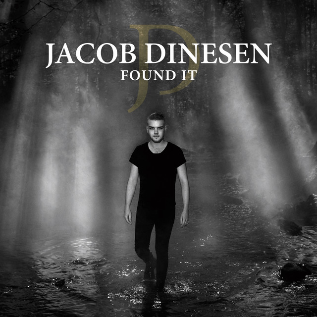 Found It cover