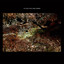 Daniel Norgren - Your love