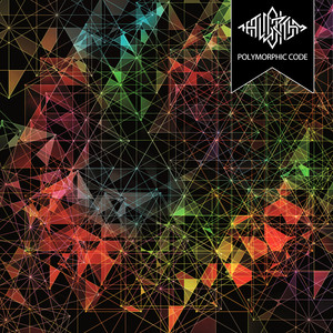 Polymorphic Code cover