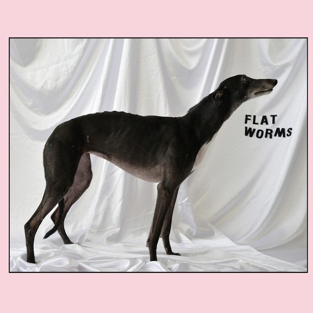 Flat Worms cover