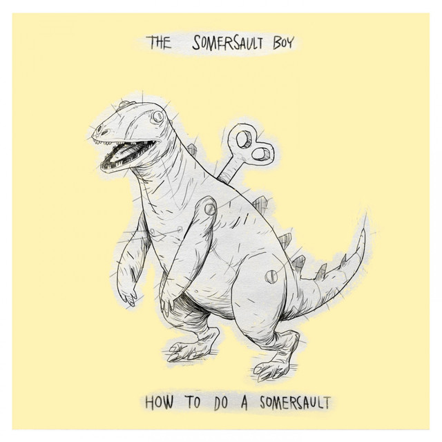 The Somersault Boy Photo