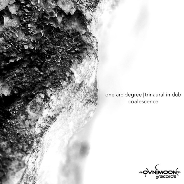 Trinaural In Dub Photo