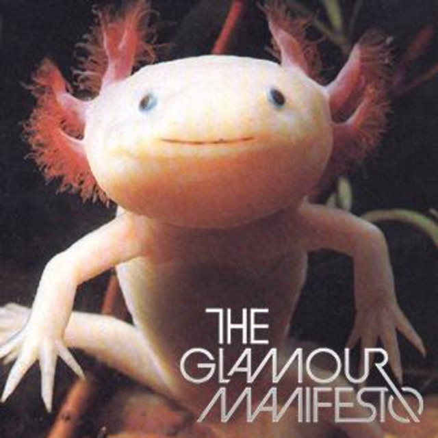 The Glamour Manifesto photo