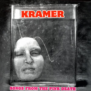 Songs From the Pink Death cover