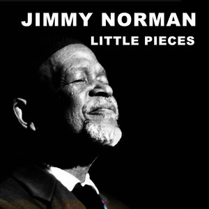 Little Pieces cover