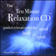 The Ten Minute Relaxation - Falling Water Sounds Albumcover