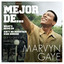 Lo Mejor De Marvin Gaye cover