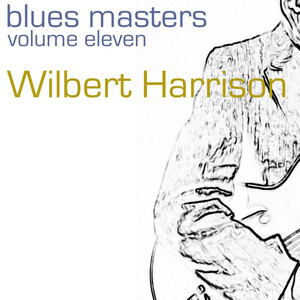 Blues Masters-Vol. 11 album