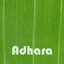 Adhara Albumcover