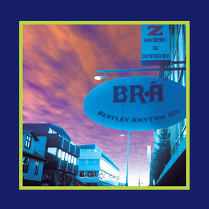 Bra cover