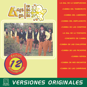 12 Éxitos Instrumentales album