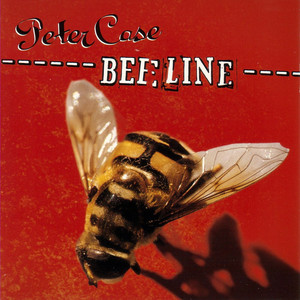 Beeline album
