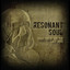 Resonant Soul