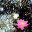 Pink Noise Meditations (Loopable Audio for Insomnia, Meditation, and Restless Children) cover