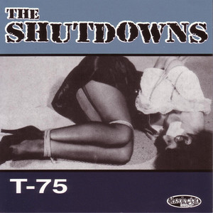 T-75 cover