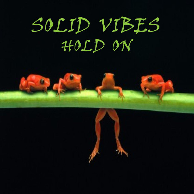 Solid Vibes Photo