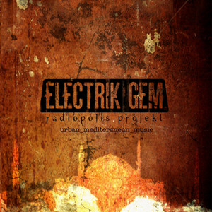 Electrik GEM Photo